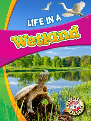 cover image of Life in a Wetland